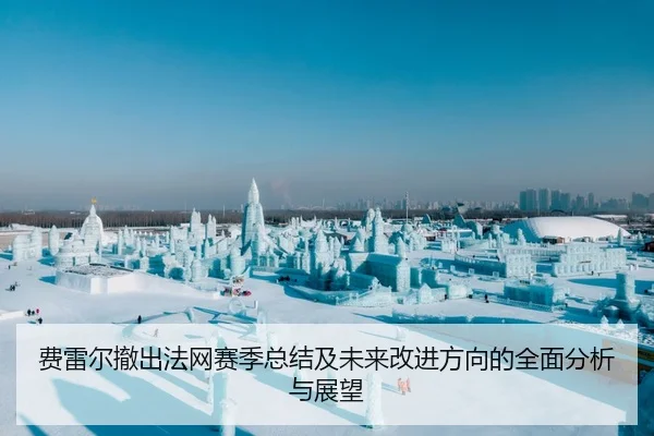 费雷尔撤出法网赛季总结及未来改进方向的全面分析与展望